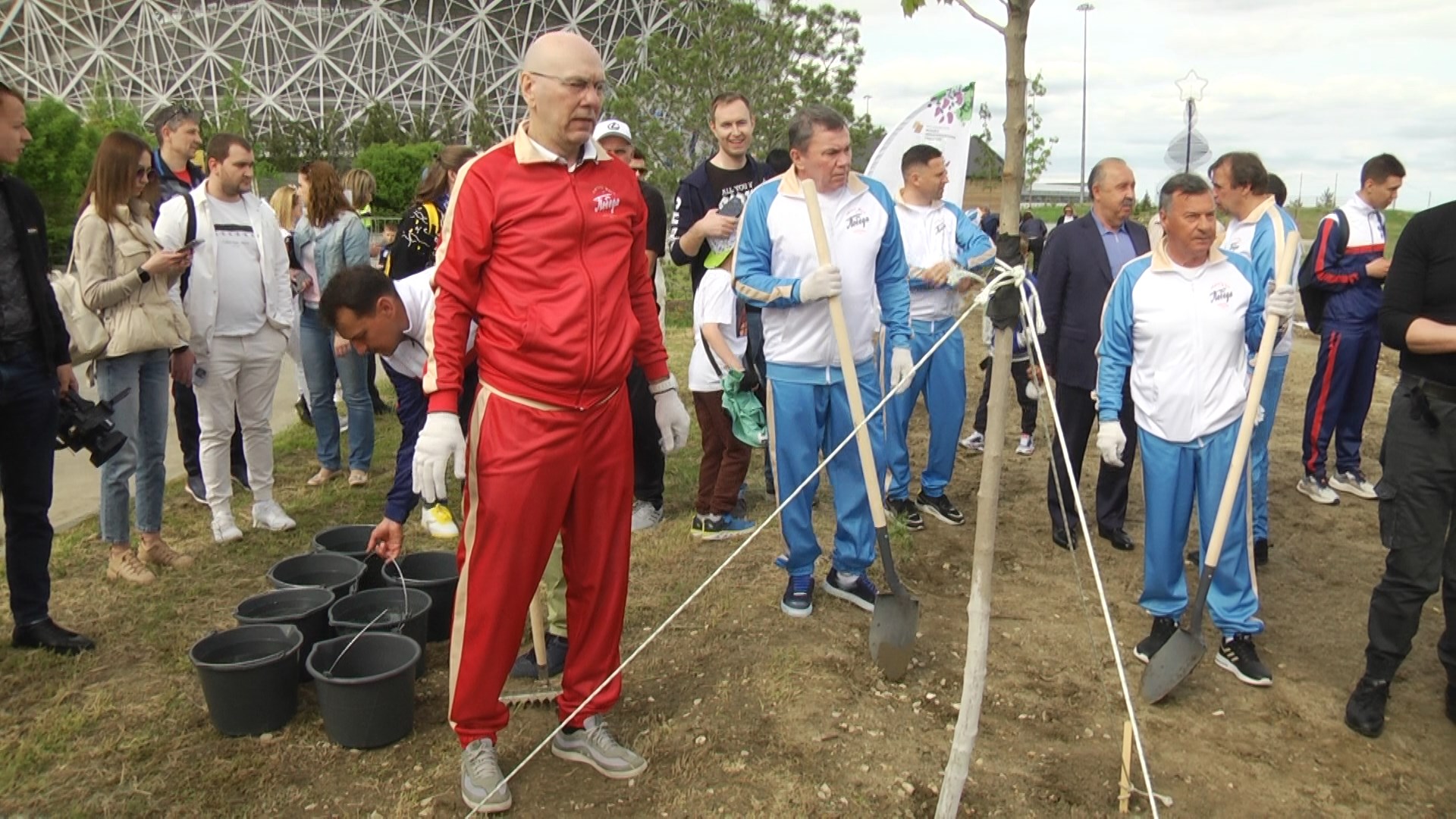 Футболисты ретро-матча посадили в Волгограде клены